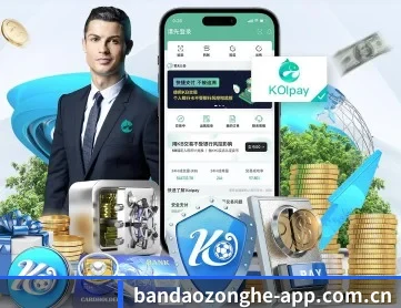 半岛综合 APP 深度功能